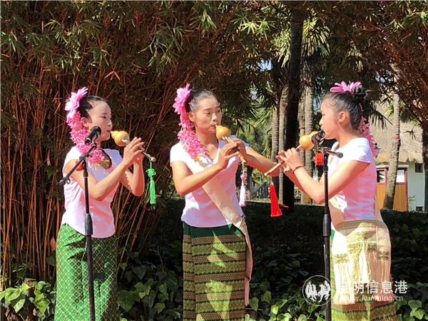 葫芦丝表演 葫芦丝表演