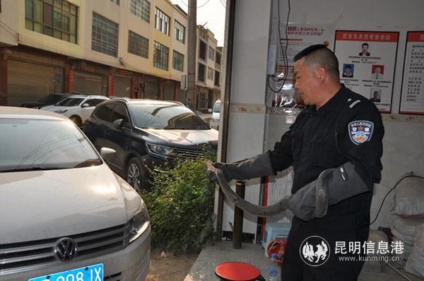 QQ图片20190413102405