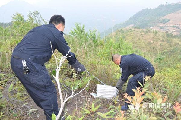 QQ图片20190413102355