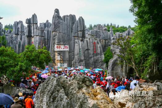 QQ截图20190413141639