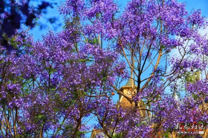 微信图片_20190416143049