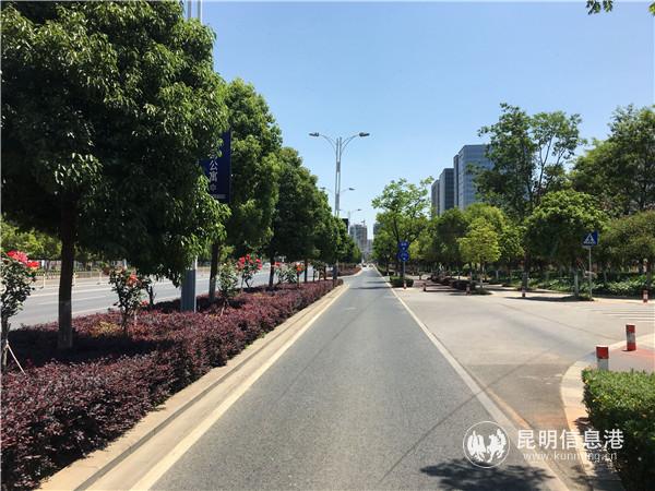 记者乘坐的K15行驶在辅道上