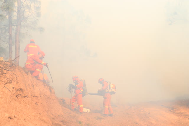 大理巍山山火频发,森林消防一天一夜辗转两个火场扑救 (1)
