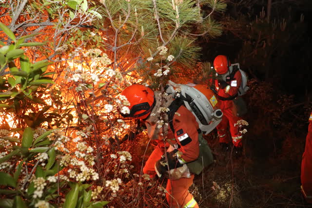 大理巍山山火频发,森林消防一天一夜辗转两个火场扑救 (3)