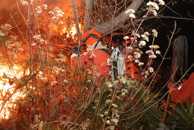 大理巍山山火频发,森林消防一天一夜辗转两个火场扑救 (5)