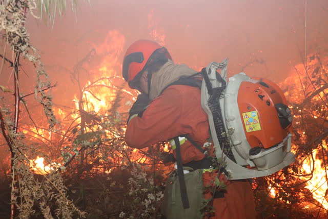 大理巍山山火频发,森林消防一天一夜辗转两个火场扑救 (7)