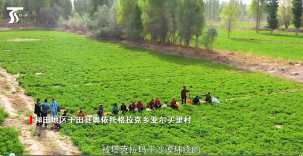 QQ截图20190422124409 QQ截图20190422124409