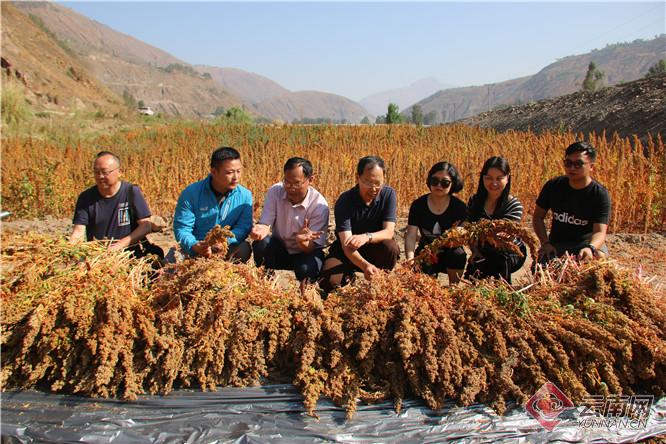 00300564946_448f4c4c 00300564946_448f4c4c