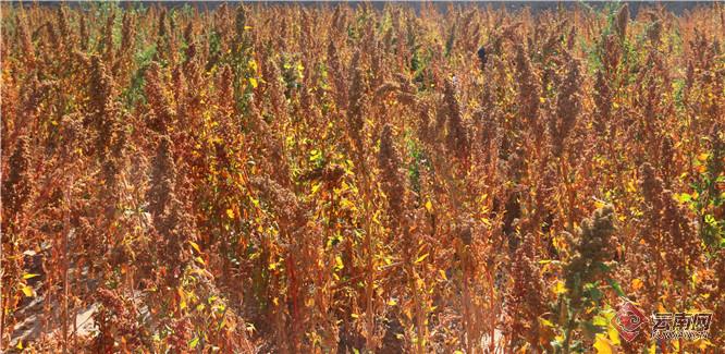 00300564948_6ad20ef7 00300564948_6ad20ef7