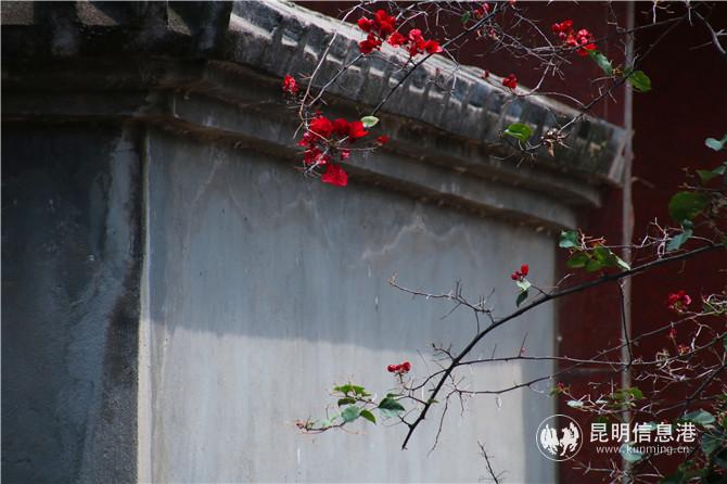 石正华家砖房一角。