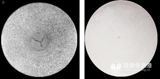 微信图片_20190423154621