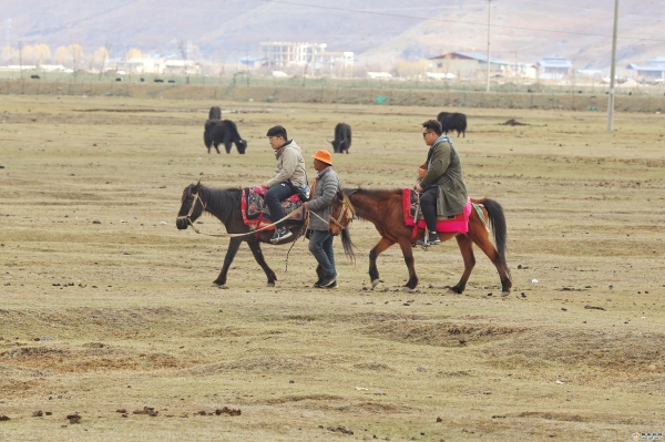 505e9c6f-2975-4382-9e39-f50ff5bb3a75_watermark