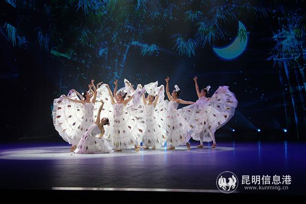 图六 舞蹈《雀之灵》