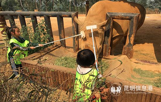 小小饲养员给犀牛“挠痒痒”。
