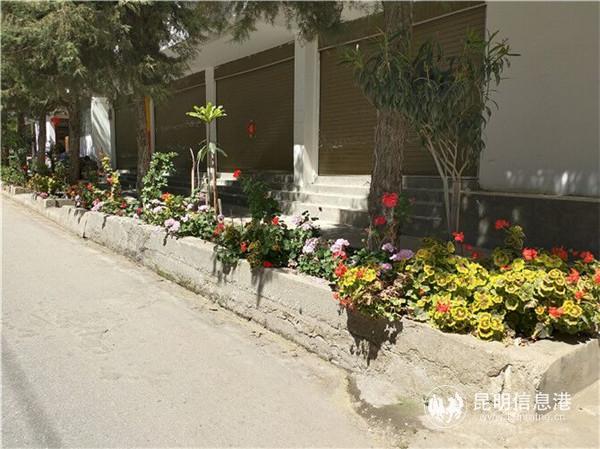 2.街道一景。记者刁凤云 摄