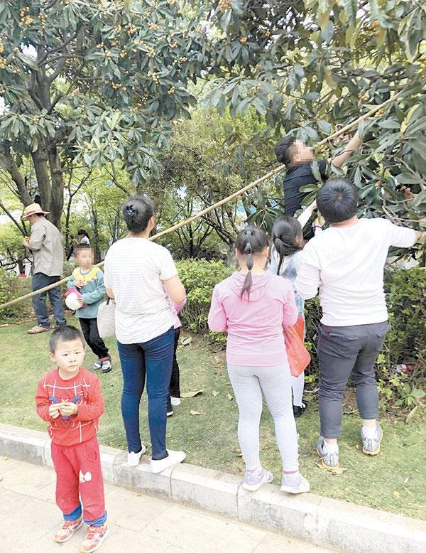 微信图片_20190502194820