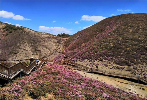 1556799508829-1556799463030