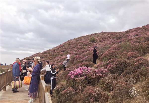 1556799508891-1556799462108