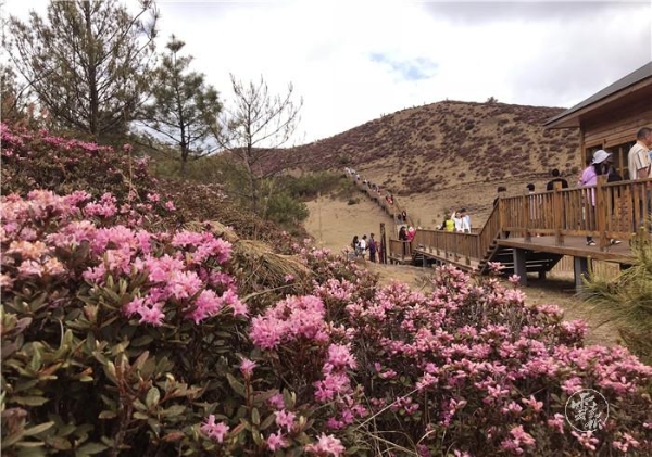 1556799508954-1556799462914