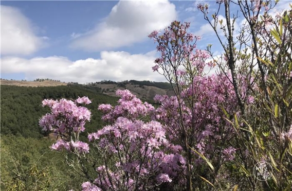 1556799529987-1556799462565