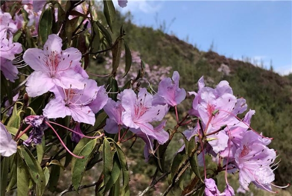 1556799552744-1556799461670