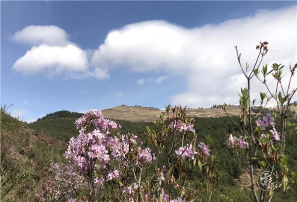 1556799552801-1556799461709