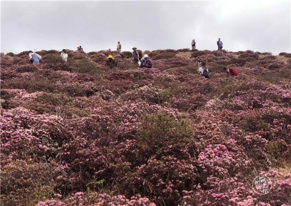 1556799552855-1556799461798