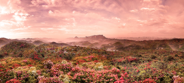 1124471445_15573725140461n