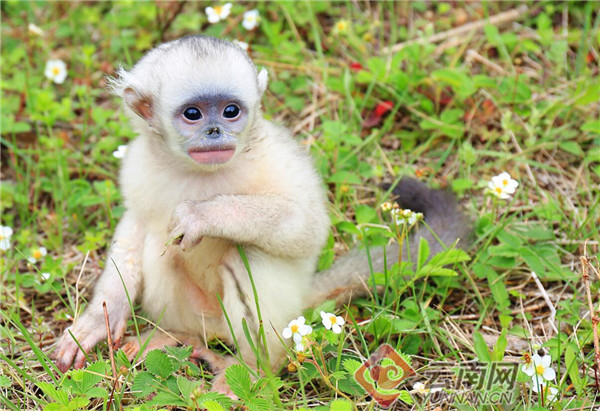 00300610344_0d224a7e 00300610344_0d224a7e