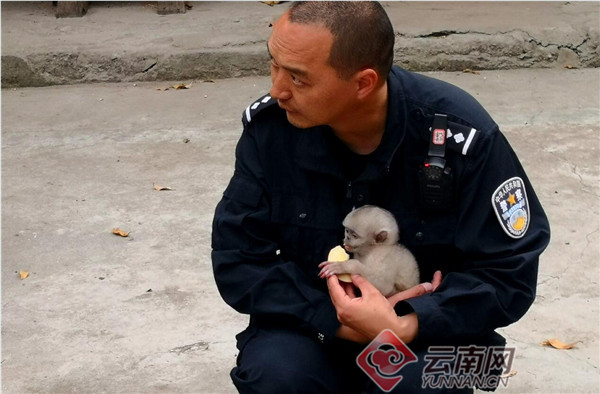 00300610364_e7216f5c 00300610364_e7216f5c