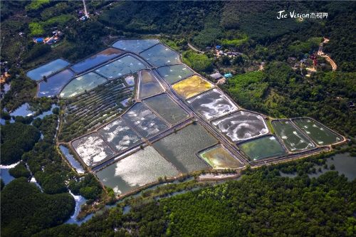 2a453b94-921f-4884-8cef-04bdf2194e56