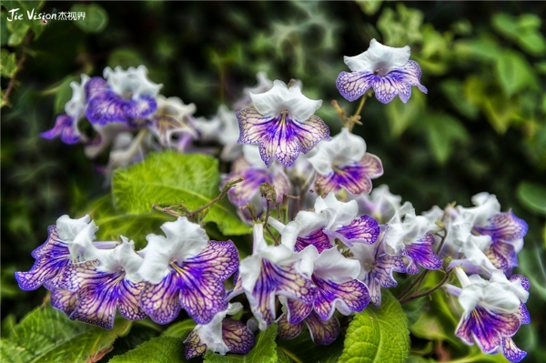 2c6c7a3f-b32a-467c-be45-9986f28ad252