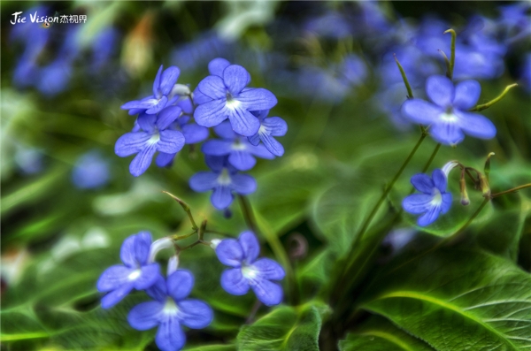 0fd73dd4-8ca2-4ab7-a19e-47e3c56b9130