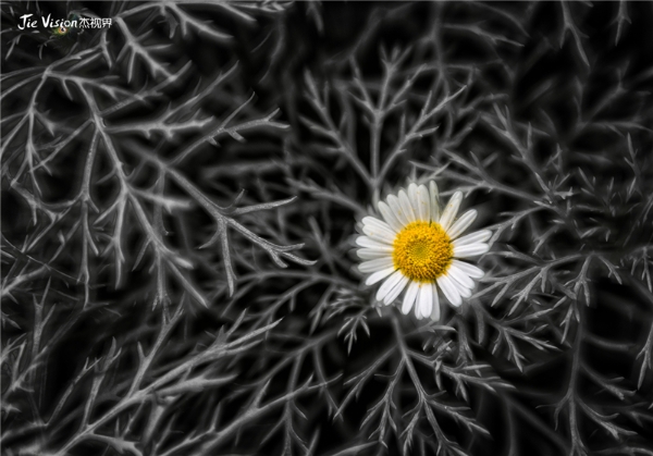 c7fc1731-afe8-4424-a1c8-53f9a9520440