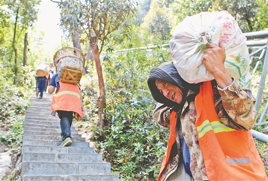 2019051609_res07_attpic_brief