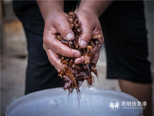 QQ图片20190516184252