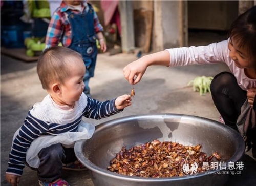 QQ图片20190516184247