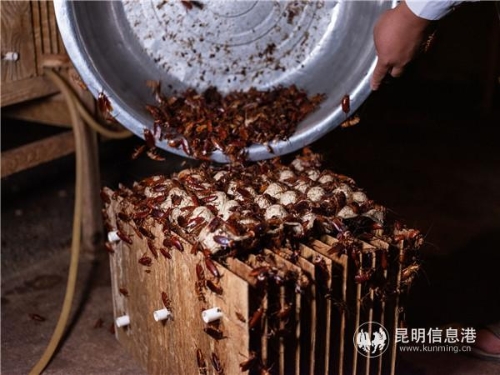 QQ图片20190516184259