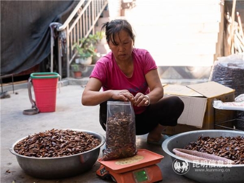 QQ图片20190516184306