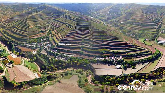 甘肃省定西市安定区的梯田美如画。(安定区委宣传部供图)