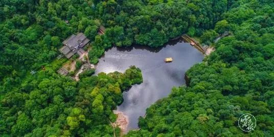 00300641255_83197b44