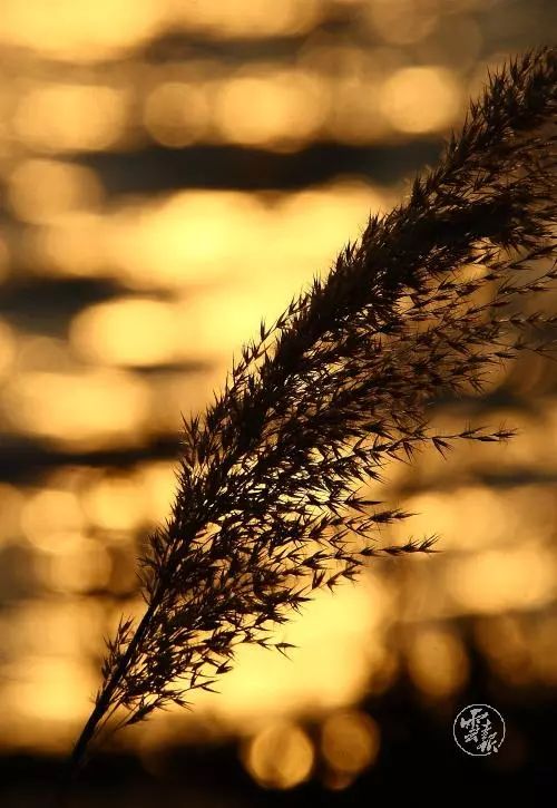 00300641267_65f2a6ef