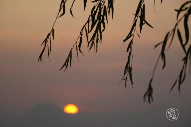 00300641272_c126f033