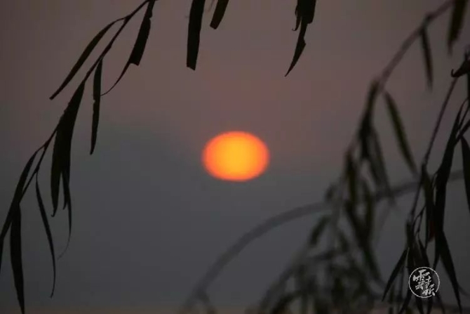 00300641273_ea21eabd