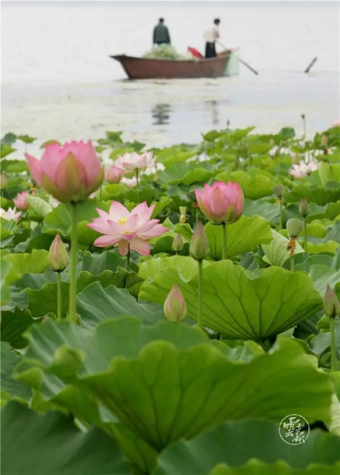 00300641277_4b1a5f70