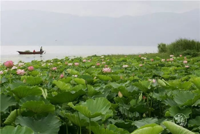 00300641278_6fbcfdf0