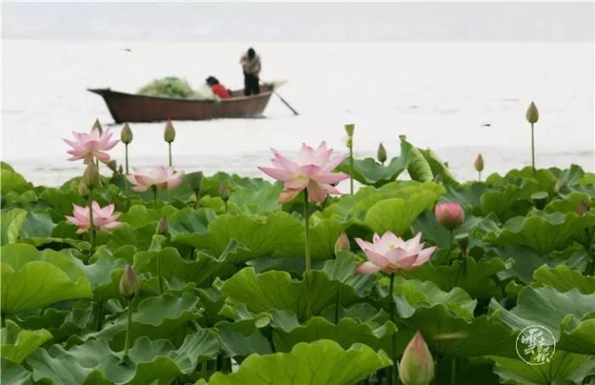 00300641279_ec068903