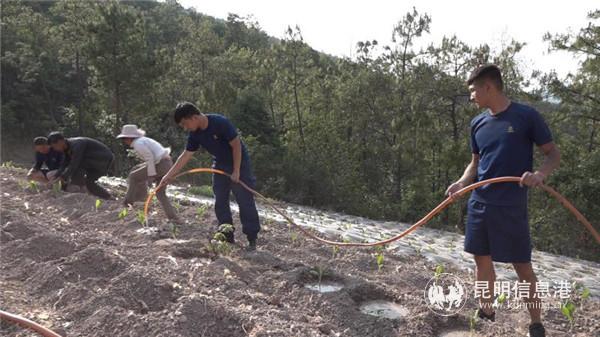 帮助村民给农作物浇水
