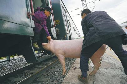 m_df04b9707d85c873927545c6cfbc8e9f