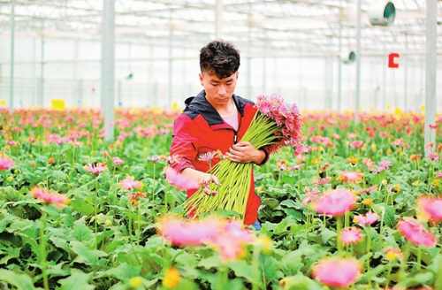 微信截图_20190603073940